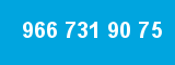966 731 90 75 966 731 90 75